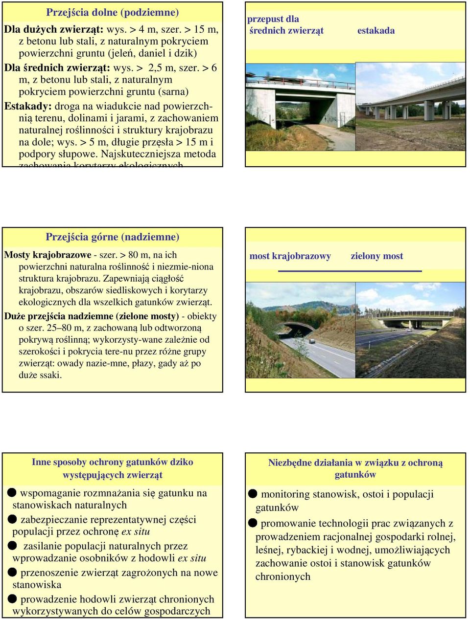 > 6 m, z betonu lub stali, z naturalnym pokryciem powierzchni gruntu (sarna) Estakady: droga na wiadukcie nad powierzchnią terenu, dolinami i jarami, z zachowaniem naturalnej roślinności i struktury