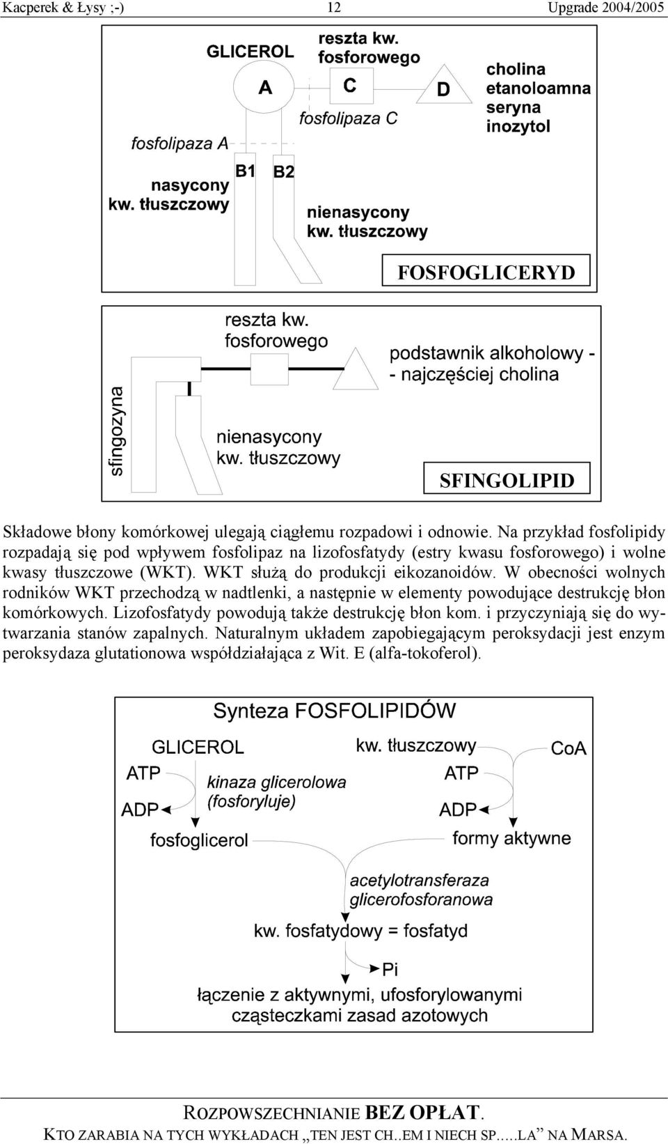 WKT służą do produkcji eikozanoidów. W obecności wolnych rodników WKT przechodzą w nadtlenki, a następnie w elementy powodujące destrukcję błon komórkowych.