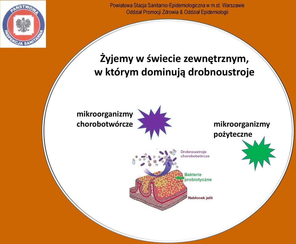 drobnoustroje mikroorganizmy