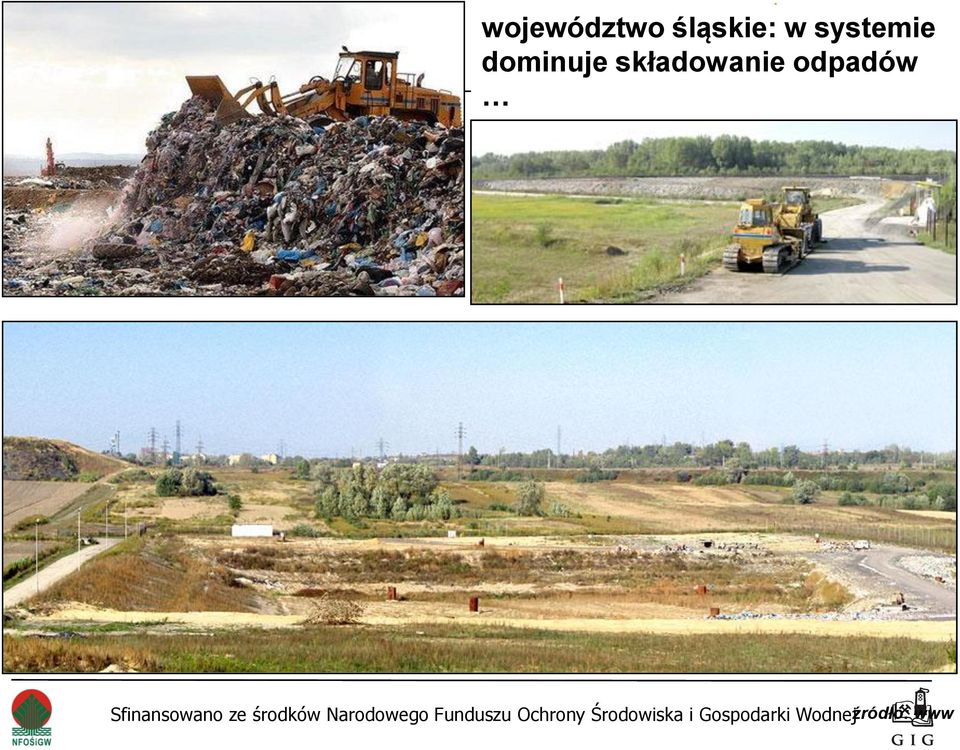 systemie dominuje
