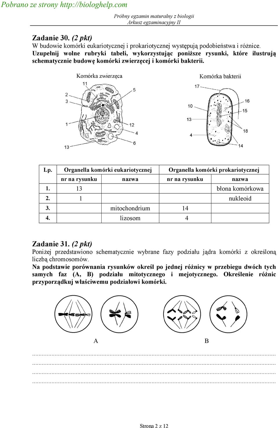 Organella komórki eukariotycznej Organella komórki prokariotycznej nr na rysunku nazwa nr na rysunku nazwa 1. 13 błona komórkowa 2. 1 nukleoid 3. mitochondrium 14 4. lizosom 4 Zadanie 31.