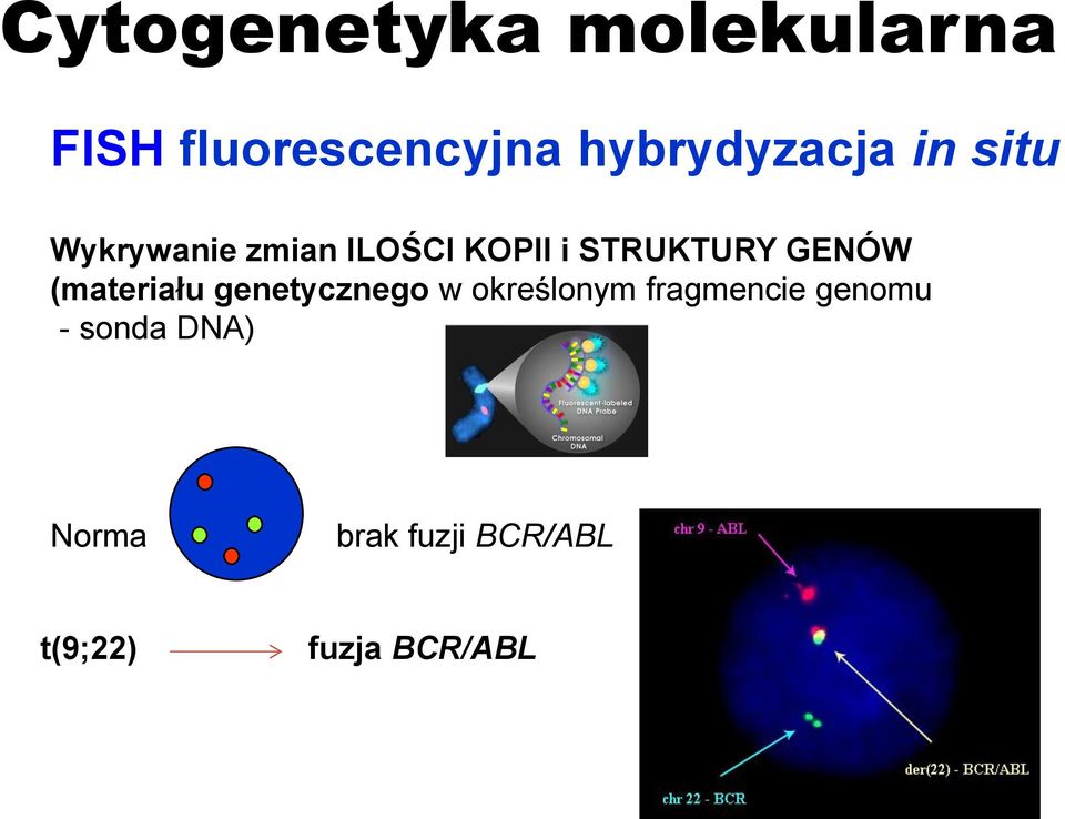 STRUKTURY GENÓW (materiału genetycznego w określonym