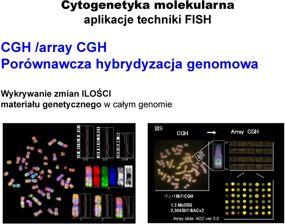 Porównawcza hybrydyzacja genomowa