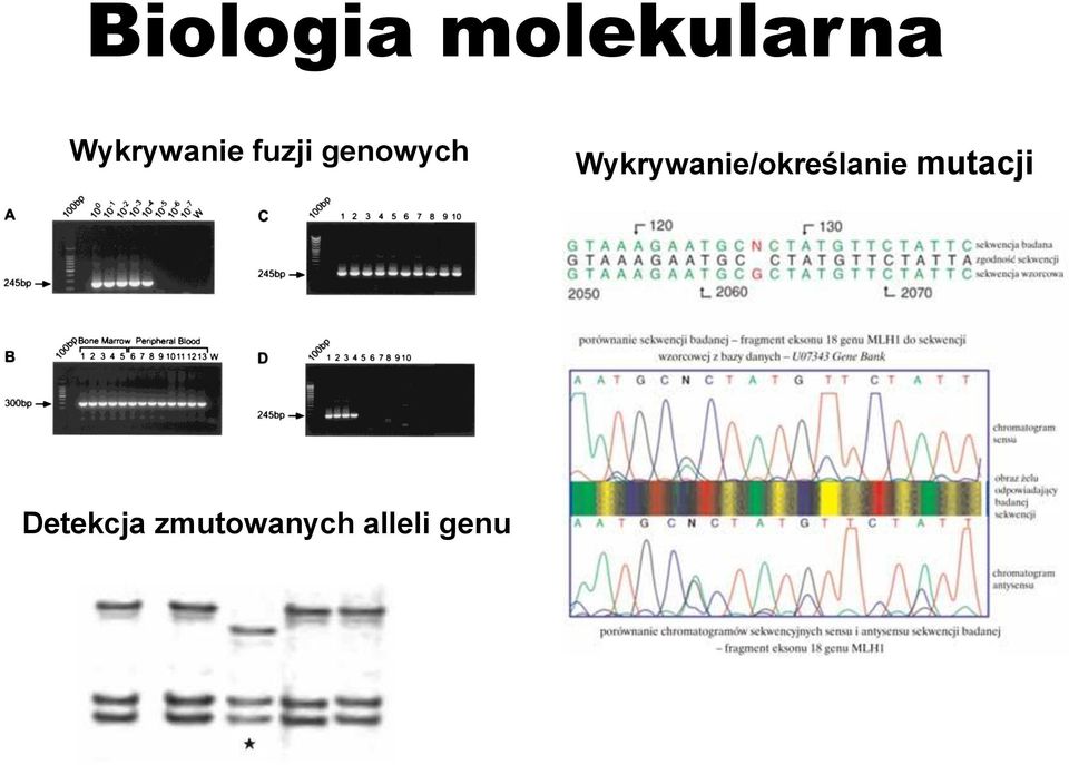 Wykrywanie/określanie