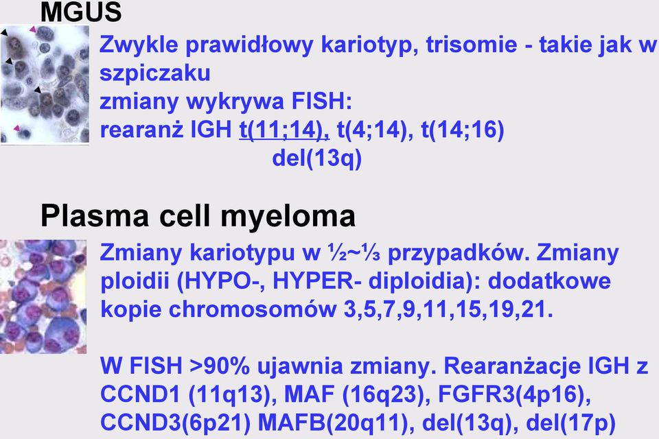 Zmiany ploidii (HYPO-, HYPER- diploidia): dodatkowe kopie chromosomów 3,5,7,9,11,15,19,21.