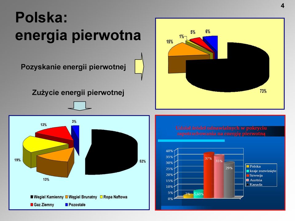 Węgiel Brunatny Ropa Naftowa 13% 3% Gaz Ziemny Pozostałe 19%