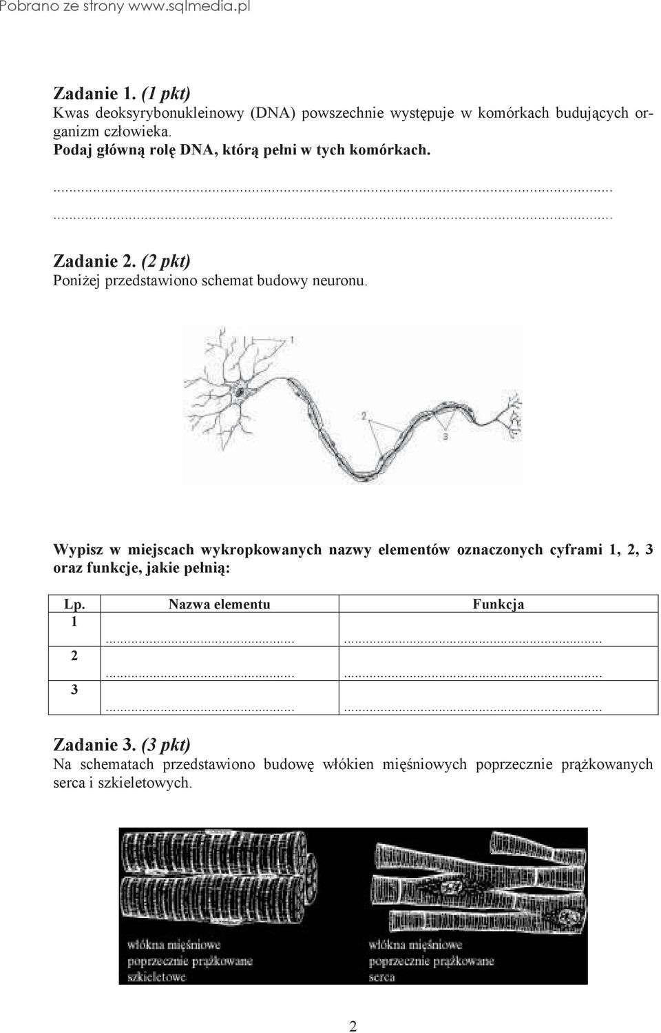 Wypisz w miejscach wykropkowanych nazwy elementów oznaczonych cyframi 1, 2, 3 oraz funkcje, jakie pełni: Lp.