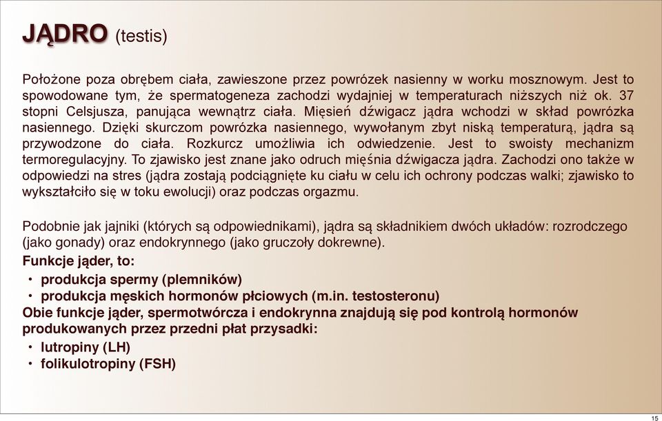 Dzięki skurczom powrózka nasiennego, wywołanym zbyt niską temperaturą, jądra są przywodzone do ciała. Rozkurcz umożliwia ich odwiedzenie. Jest to swoisty mechanizm termoregulacyjny.