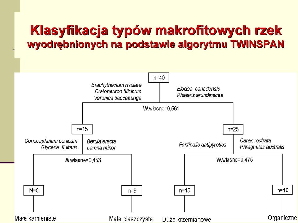 wyodrębnionych na