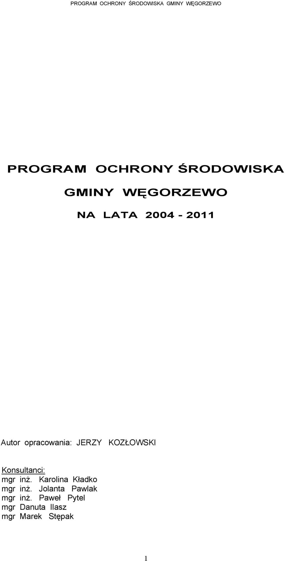 Konsultanci: mgr inż. Karolina Kładko mgr inż.
