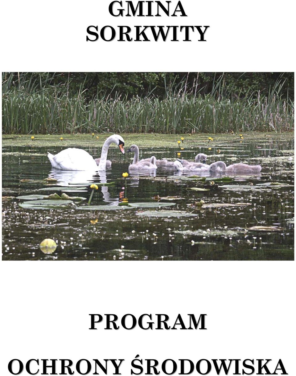 PROGRAM