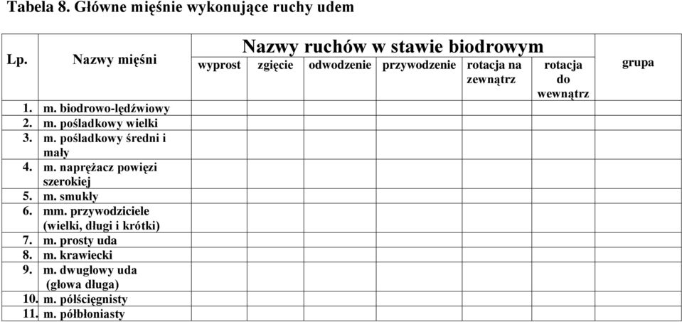 przywodziciele (wielki, długi i krótki) 7. m. prosty uda 8. m. krawiecki 9. m. dwugłowy uda (głowa długa) 10. m. półścięgnisty 11.