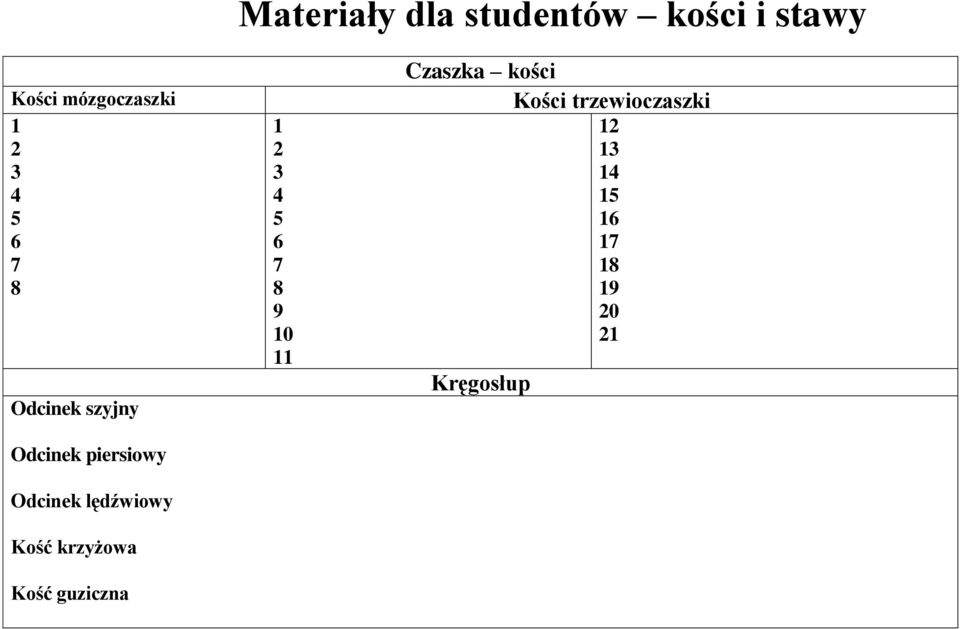 Kość krzyżowa Kość guziczna 1 2 3 4 5 6 7 8 9 10 11 Czaszka