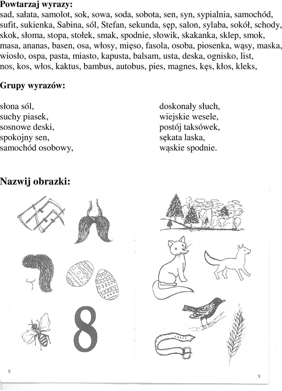 maska, wiosło, ospa, pasta, miasto, kapusta, balsam, usta, deska, ognisko, list, nos, kos, włos, kaktus, bambus, autobus, pies, magnes, kęs, kłos, kleks, Grupy
