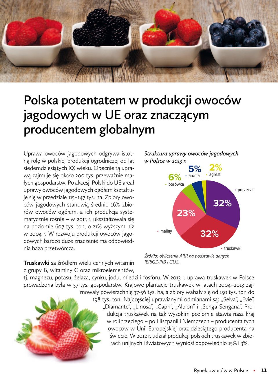 Zbiory owoców jagodowych stanowią średnio 16% zbiorów owoców ogółem, a ich produkcja systematycznie rośnie w 2013 r. ukształtowała się na poziomie 607 tys. ton, o 21% wyższym niż w 2004 r.