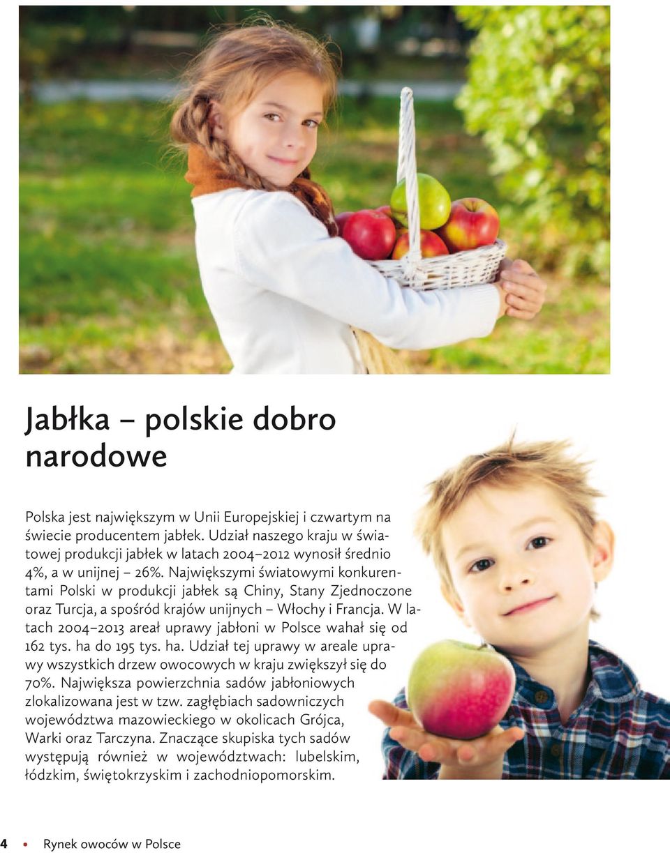 Największymi światowymi konkurentami Polski w produkcji jabłek są Chiny, Stany Zjednoczone oraz Turcja, a spośród krajów unijnych Włochy i Francja.
