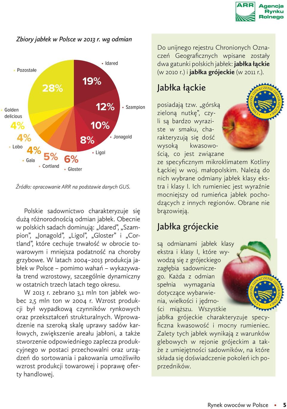 Szampion Polskie sadownictwo charakteryzuje się dużą różnorodnością odmian jabłek.