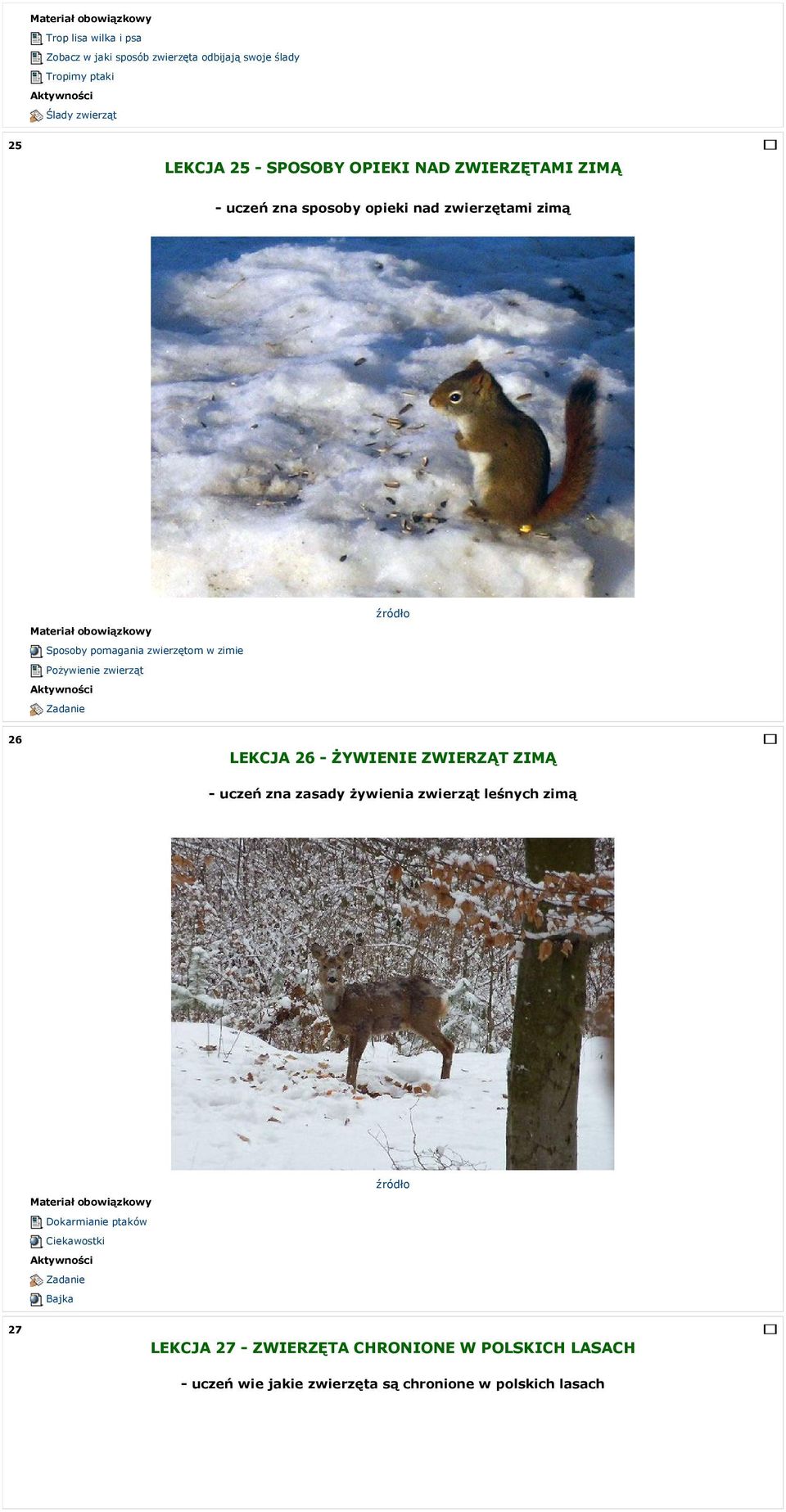Pożywienie zwierząt 26 LEKCJA 26 - ŻYWIENIE ZWIERZĄT ZIMĄ - uczeń zna zasady żywienia zwierząt leśnych zimą Dokarmianie