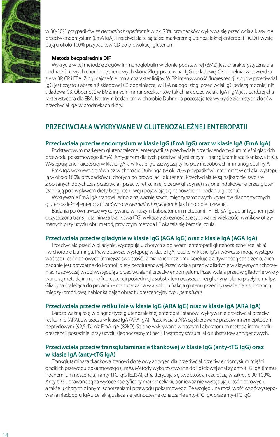 Metoda bezpośrednia DIF Wykrycie w tej metodzie złogów immunoglobulin w błonie podstawnej (BMZ) jest charakterystyczne dla podnaskórkowych chorób pęcherzowych skóry.