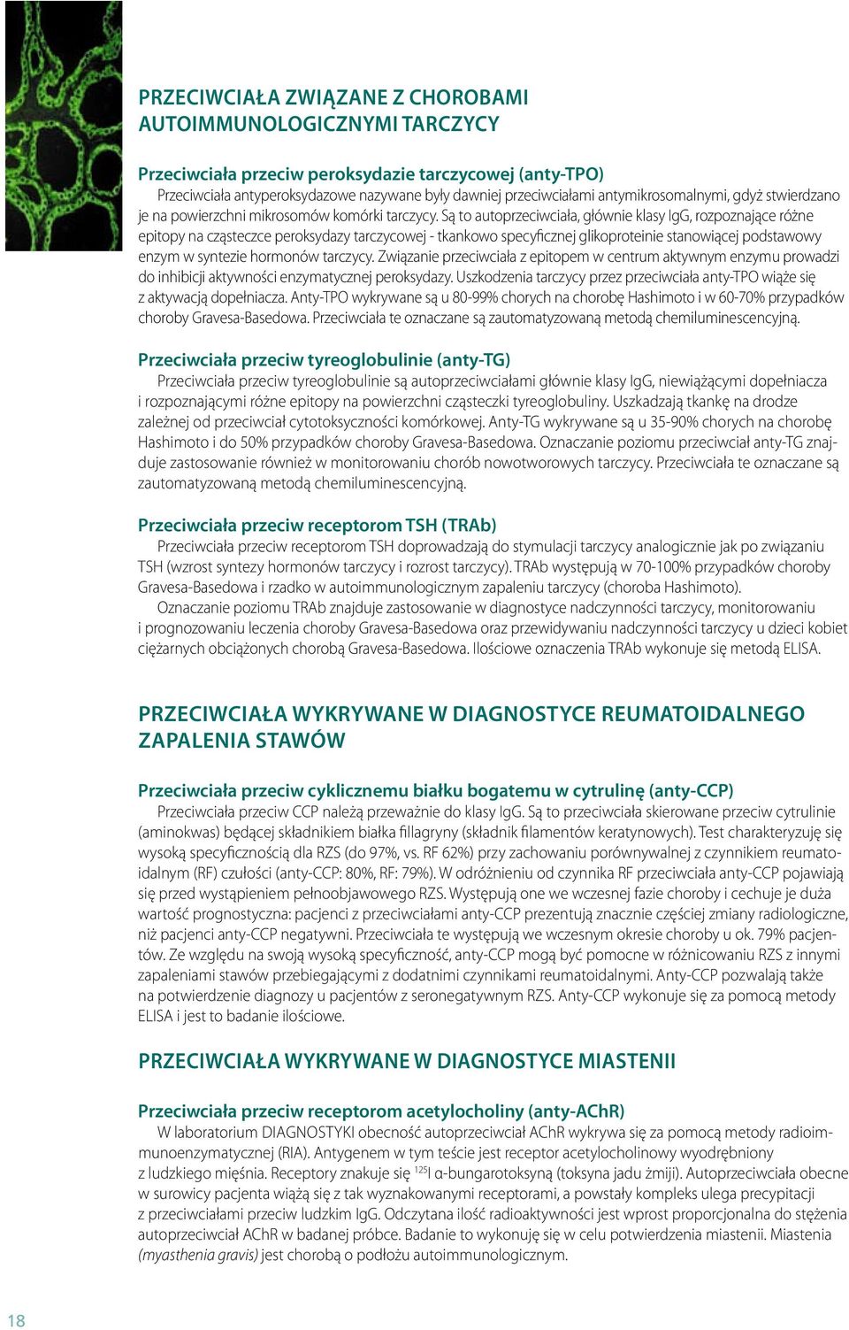 Są to autoprzeciwciała, głównie klasy IgG, rozpoznające różne epitopy na cząsteczce peroksydazy tarczycowej - tkankowo specyficznej glikoproteinie stanowiącej podstawowy enzym w syntezie hormonów