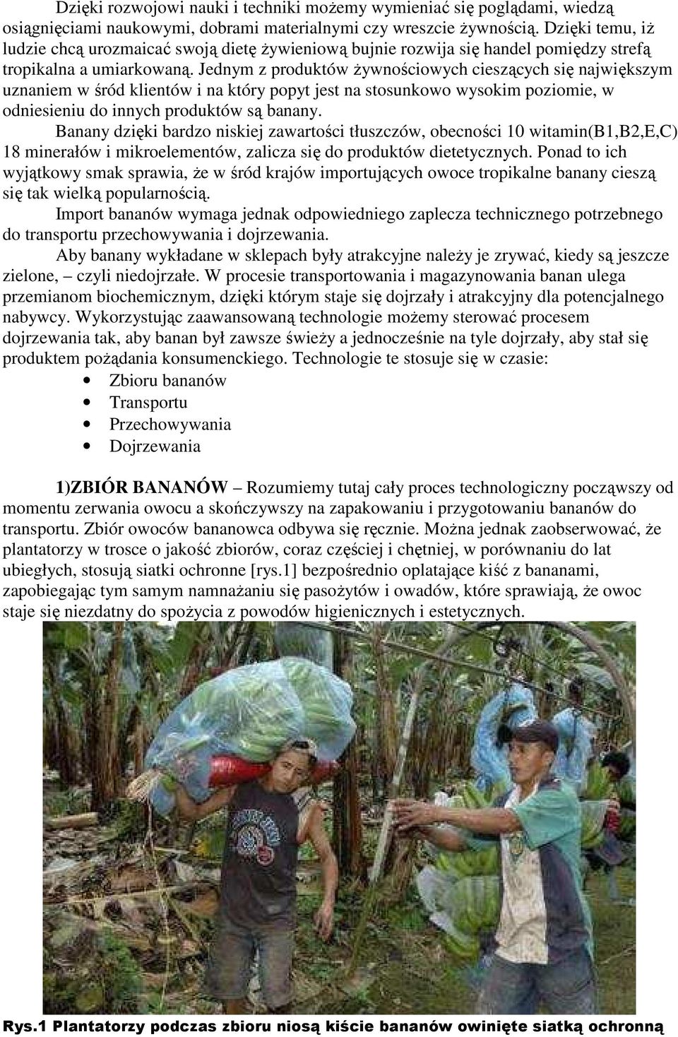 Jednym z produktów żywnościowych cieszących się największym uznaniem w śród klientów i na który popyt jest na stosunkowo wysokim poziomie, w odniesieniu do innych produktów są banany.