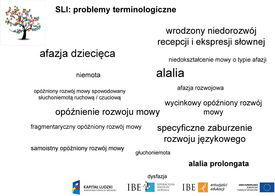 niedokształcenie mowy o typie afazji alalia głuchoniemota wrodzony niedorozwój recepcji i ekspresji słownej