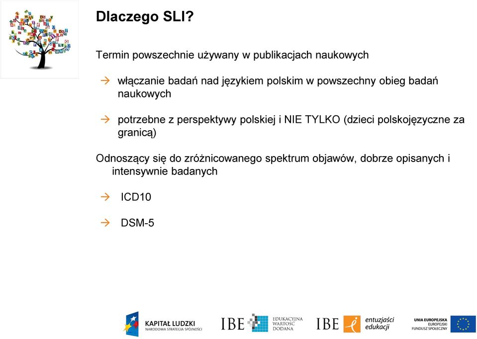 językiem polskim w powszechny obieg badań naukowych potrzebne z perspektywy