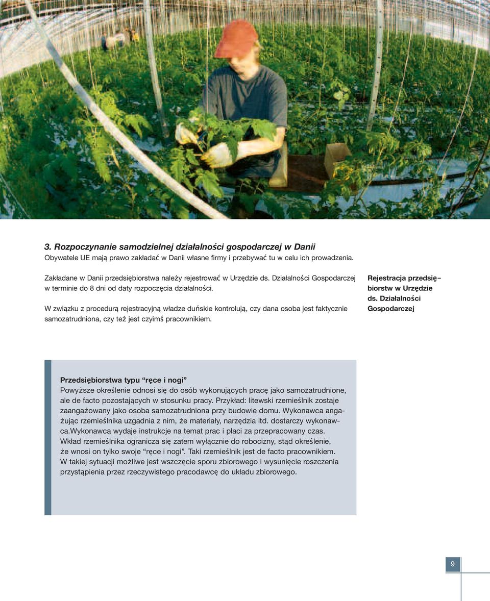 W związku z procedurą rejestracyjną władze duńskie kontrolują, czy dana osoba jest faktycznie samozatrudniona, czy te jest czyimś pracownikiem. Rejestracja przedsiębiorstw w Urzędzie ds.