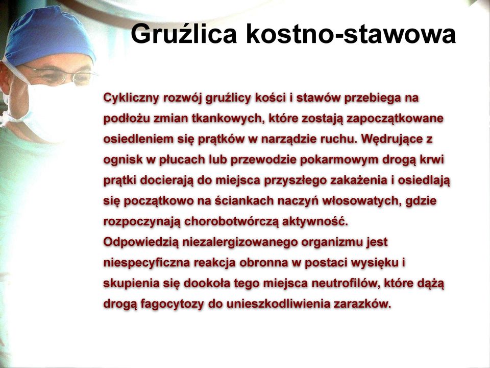 Wędrujące z ognisk w płucach lub przewodzie pokarmowym drogą krwi prątki docierają do miejsca przyszłego zakażenia i osiedlają się początkowo na