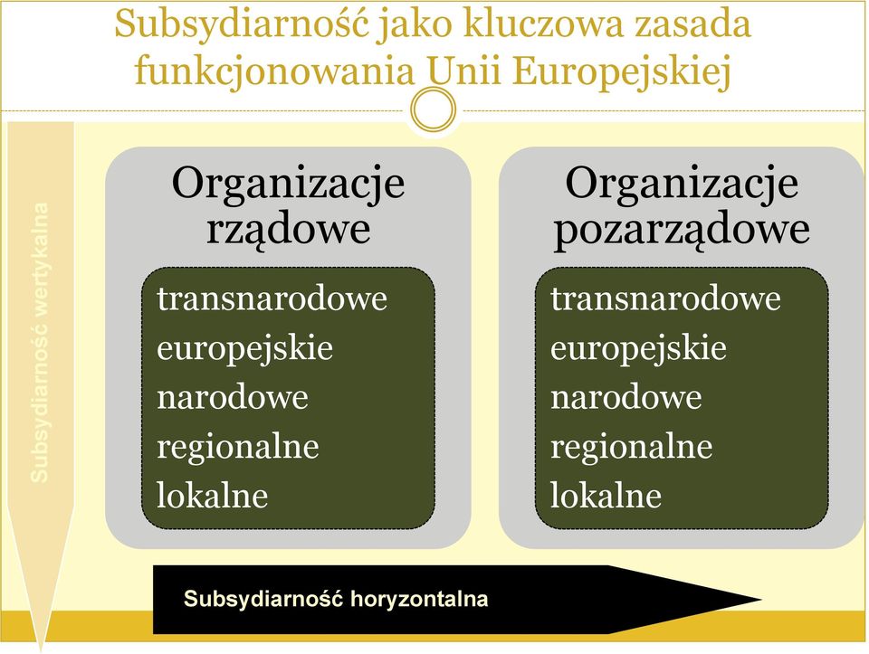 pozarządowe transnarodowe europejskie narodowe regionalne lokalne