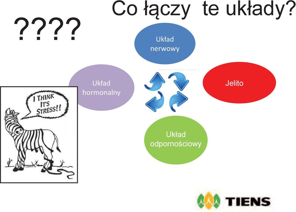 hormonalny Jelito