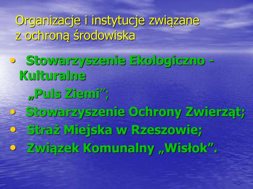 Kulturalne Puls Ziemi ; Stowarzyszenie Ochrony