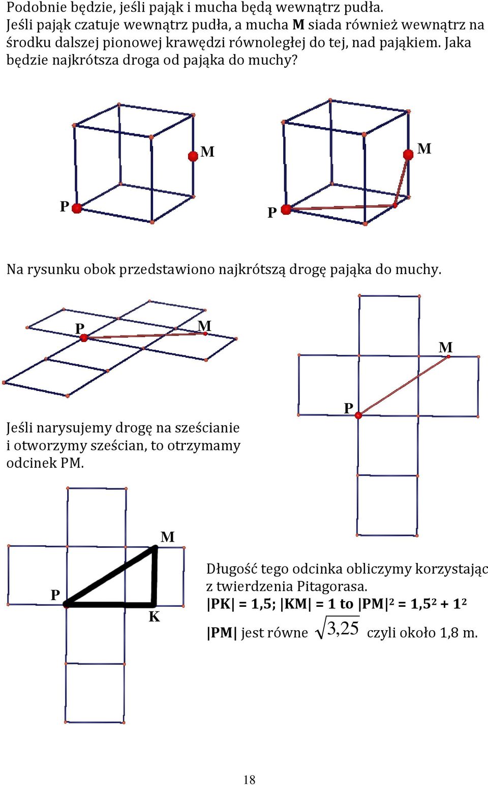 Jaka będzie najkrótsza droga od pająka do muchy? M M P P Na rysunku obok przedstawiono najkrótszą drogę pająka do muchy.