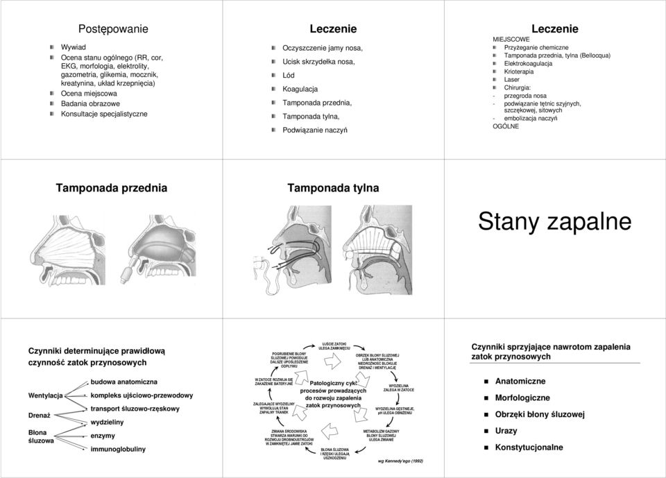 (Bellocqua) Elektrokoagulacja Krioterapia Laser Chirurgia: - przegroda nosa - podwiązanie tętnic szyjnych, szczękowej, sitowych - embolizacja naczyń OGÓLNE Tamponada przednia Tamponada tylna Stany