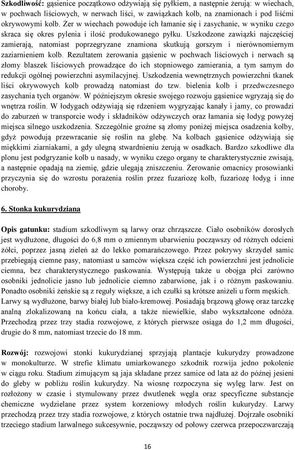 Uszkodzone zawiązki najczęściej zamierają, natomiast poprzegryzane znamiona skutkują gorszym i nierównomiernym zaziarnieniem kolb.