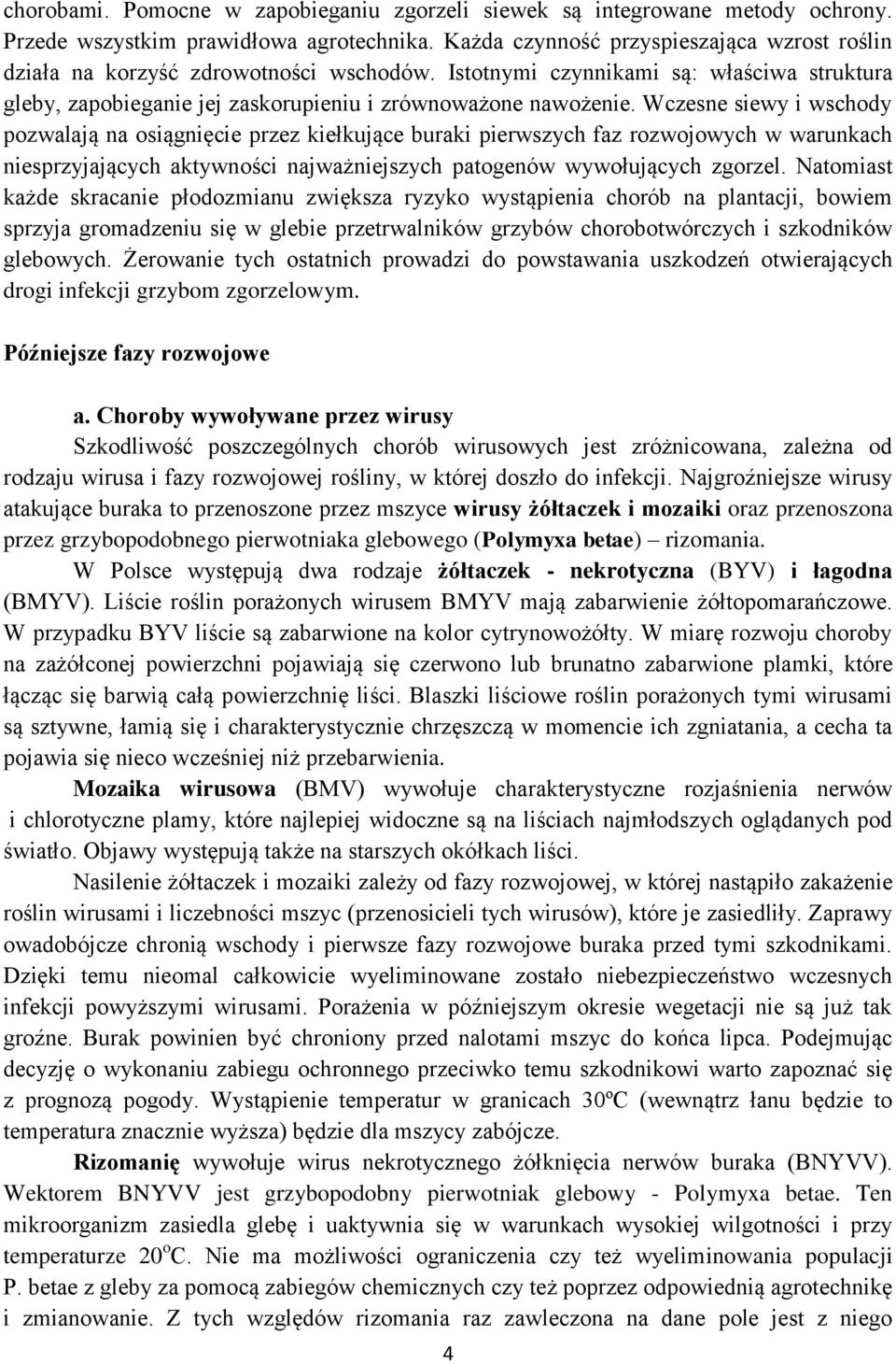 Wczesne siewy i wschody pozwalają na osiągnięcie przez kiełkujące buraki pierwszych faz rozwojowych w warunkach niesprzyjających aktywności najważniejszych patogenów wywołujących zgorzel.