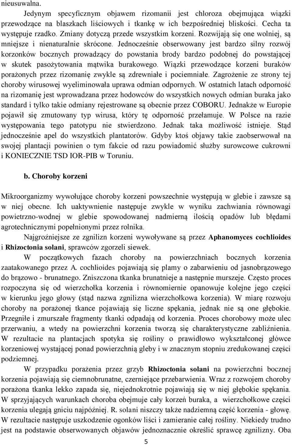 Jednocześnie obserwowany jest bardzo silny rozwój korzonków bocznych prowadzący do powstania brody bardzo podobnej do powstającej w skutek pasożytowania mątwika burakowego.