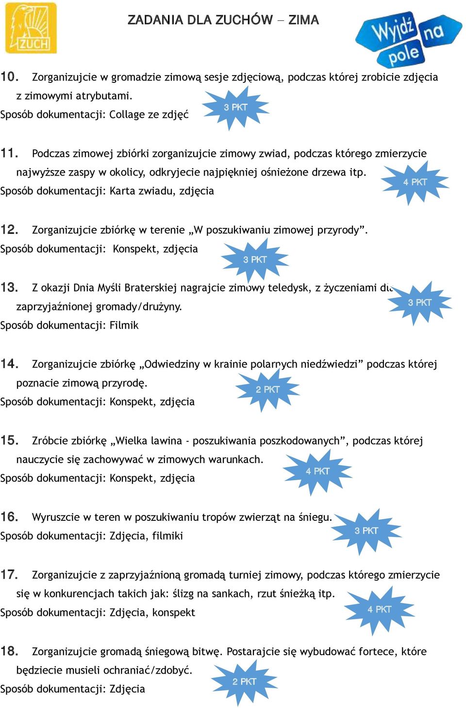 Zorganizujcie zbiórkę w terenie W poszukiwaniu zimowej przyrody. Sposób dokumentacji: Konspekt, zdjęcia 13.