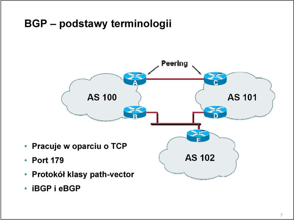 oparciu o TCP Port 179