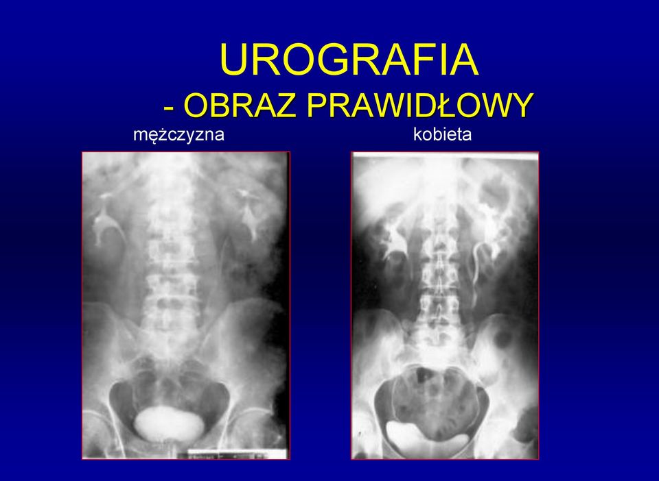 PRAWIDŁOWY