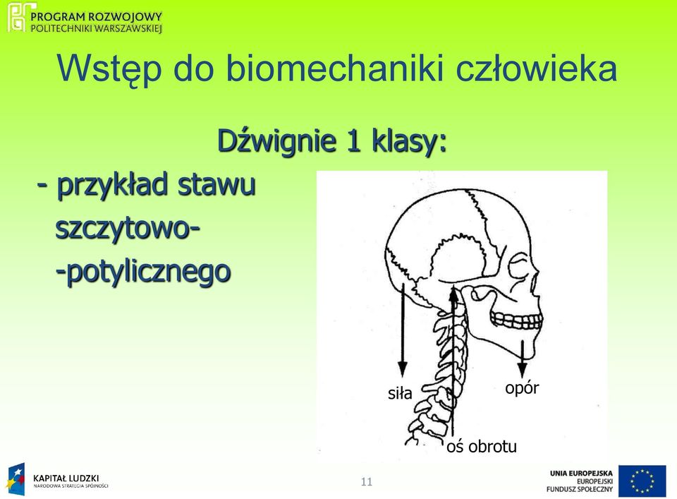 Biomechanika człowieka i kinematyka stawu kolanowego - PDF Darmowe  pobieranie