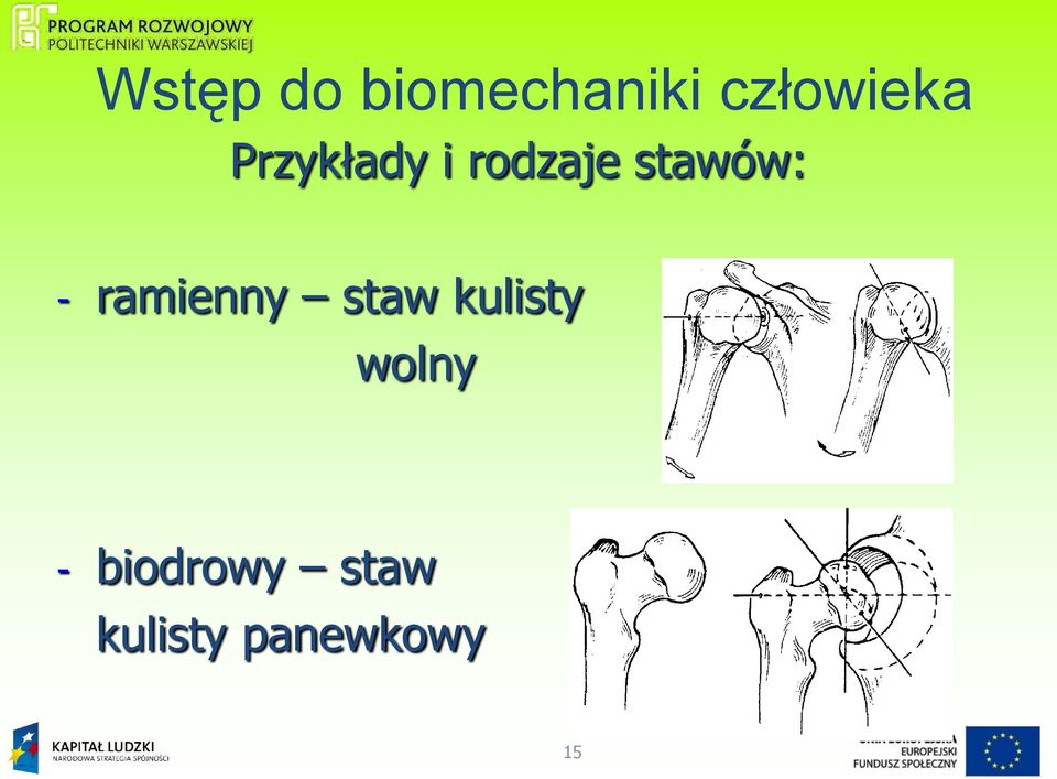 ramienny staw kulisty wolny -