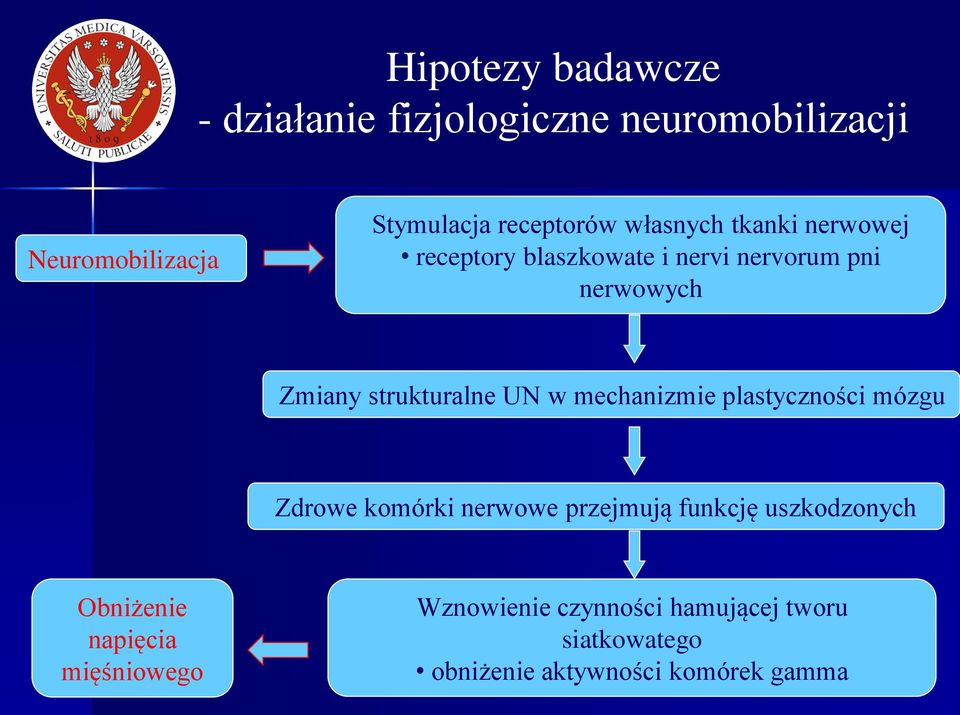 w mechanizmie plastyczności mózgu Zdrowe komórki nerwowe przejmują funkcję uszkodzonych Obniżenie