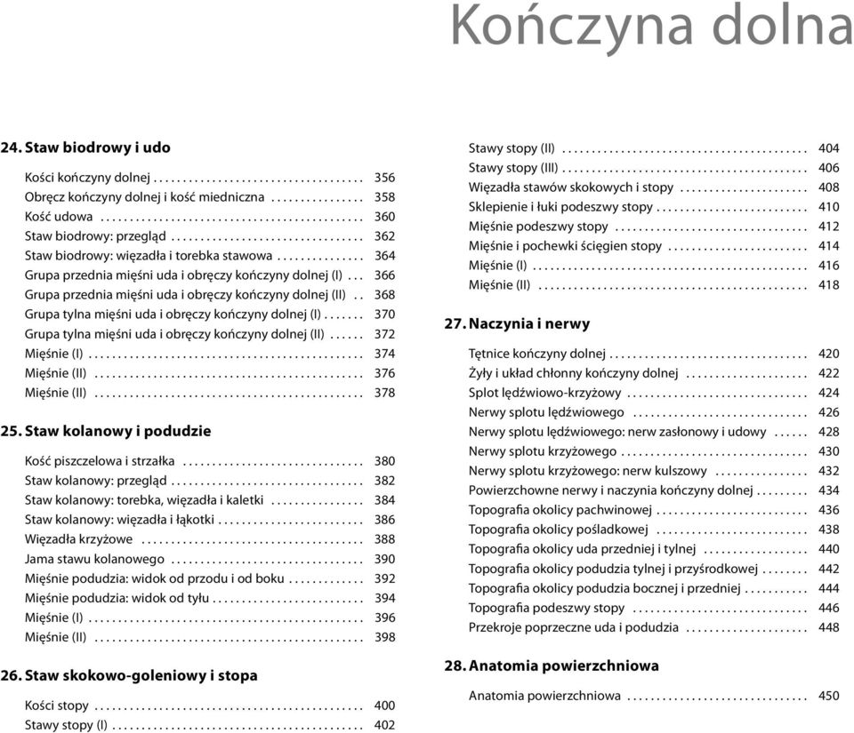 .............. 364 Grupa przednia mięśni uda i obręczy kończyny dolnej (I)... 366 Grupa przednia mięśni uda i obręczy kończyny dolnej (II).. 368 Grupa tylna mięśni uda i obręczy kończyny dolnej (I).