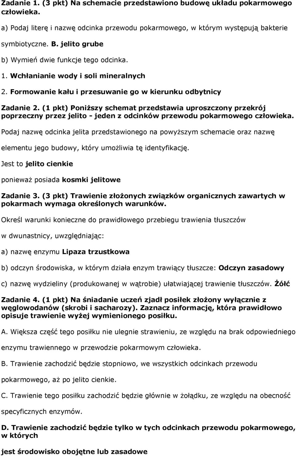 (1 pkt) Poniższy schemat przedstawia uproszczony przekrój poprzeczny przez jelito - jeden z odcinków przewodu pokarmowego człowieka.