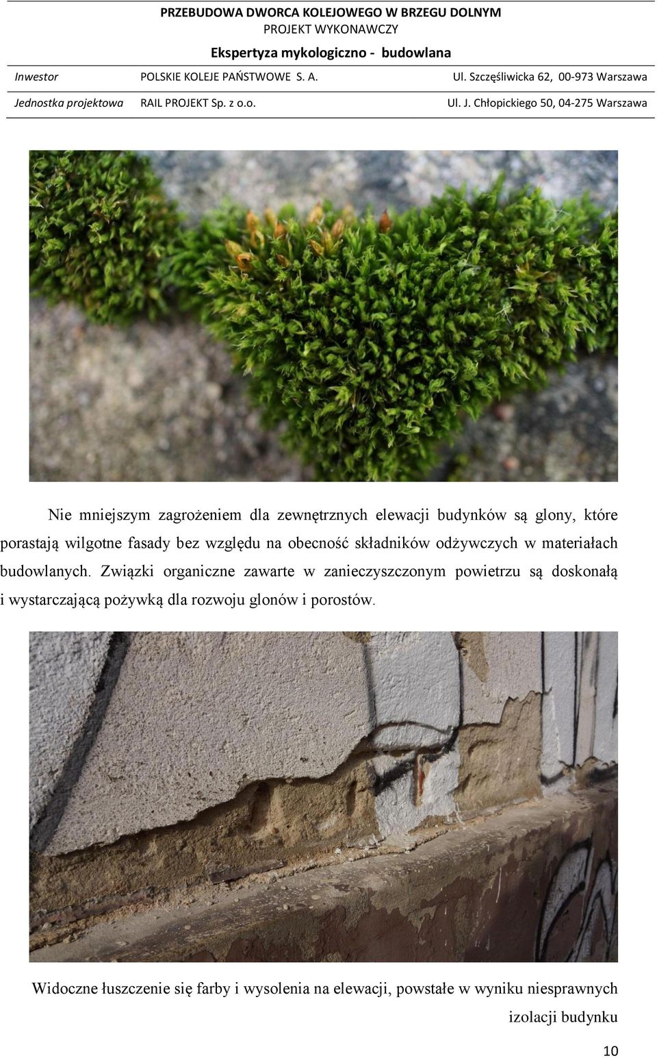 Związki organiczne zawarte w zanieczyszczonym powietrzu są doskonałą i wystarczającą pożywką dla
