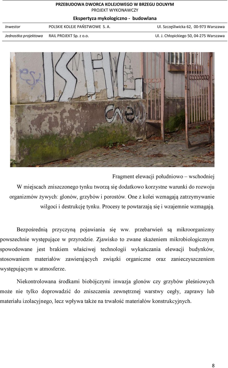 przebarwień są mikroorganizmy powszechnie występujące w przyrodzie.