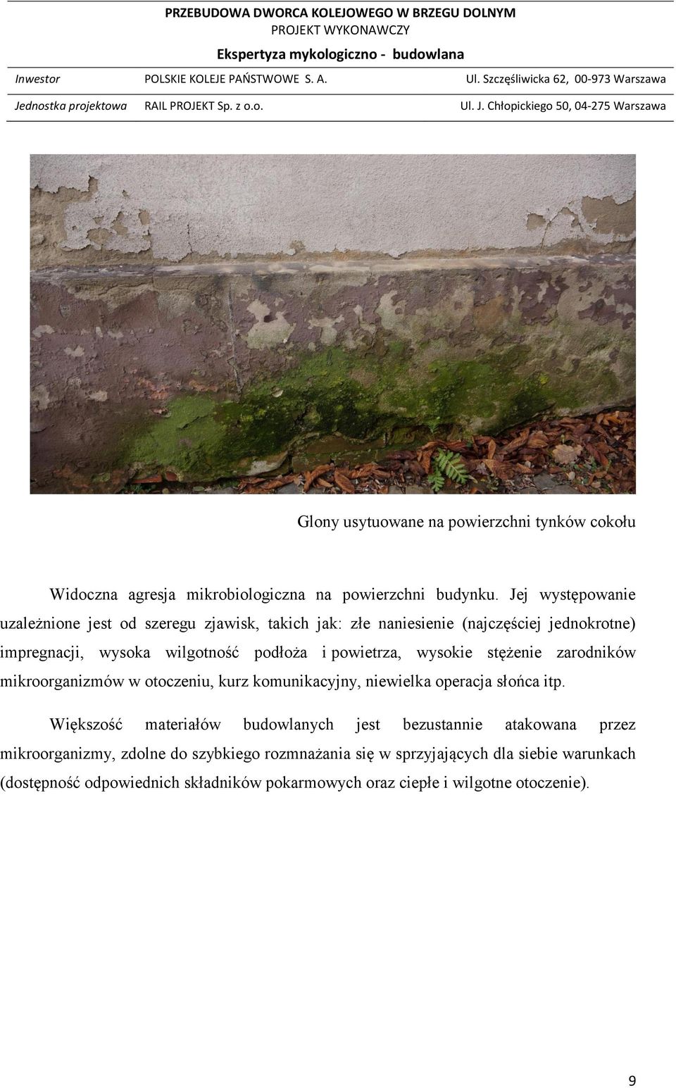 powietrza, wysokie stężenie zarodników mikroorganizmów w otoczeniu, kurz komunikacyjny, niewielka operacja słońca itp.