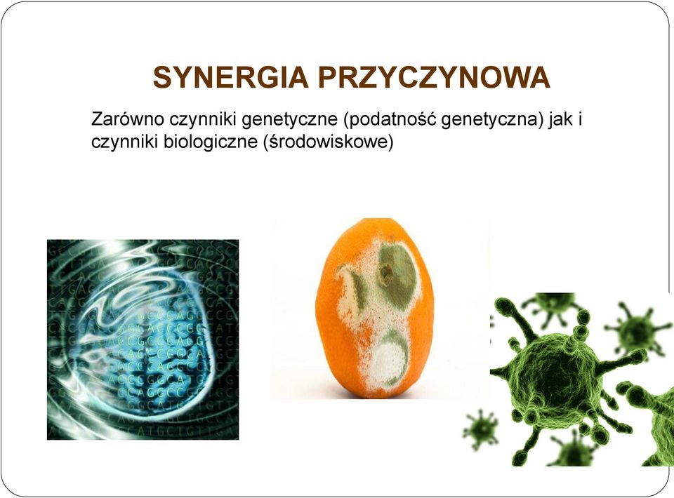 (podatność genetyczna) jak i