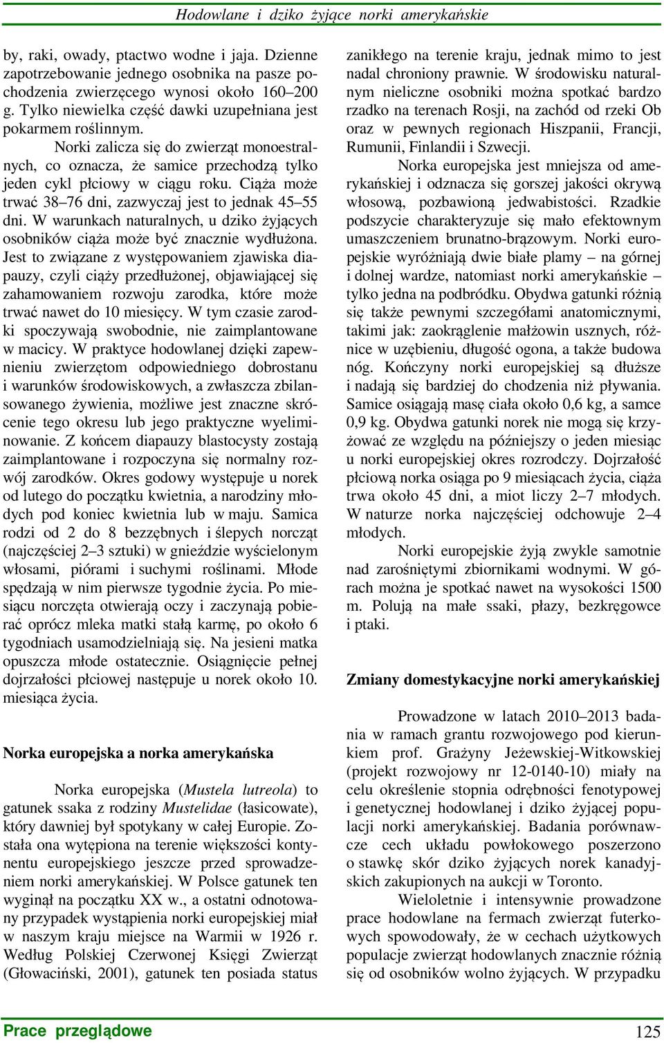 Ciąża może trwać 38 76 dni, zazwyczaj jest to jednak 45 55 dni. W warunkach naturalnych, u dziko żyjących osobników ciąża może być znacznie wydłużona.
